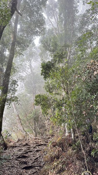 崩潰陡上的水雲三星～鳥嘴山（上島山）2095306