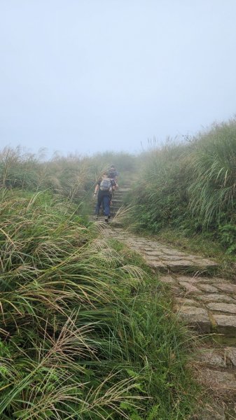 20231014 陽明山東西大縱走十連峰2312768