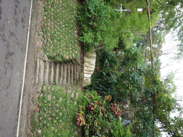 微笑山線之大棟山系2838139