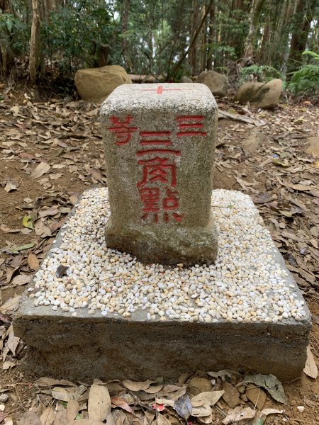 20260501南投嶺頭山-金柑樹山3052896