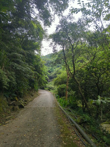 2025.05.03－燦光寮山O行縱走2782431