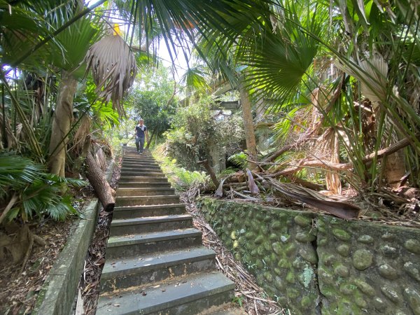 2025微笑山線大縱走尋寶集章任務-Ep.06【二格山系】和美山螢火蟲2880990