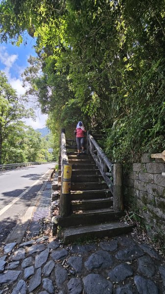 【被遺忘的南橫仙境】中之關、天池步道O繞10K2798207