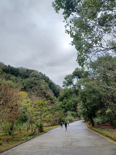 【苗栗泰安】中級山的大霸尖山。 虎山步道2779587