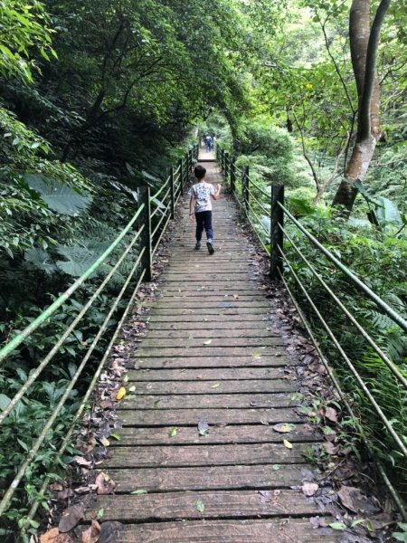 南投觀音瀑布443308