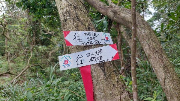 石碇 O 型縱走大崙古道・崩山大崙・華梵大學・熱腸古道・磨石坑山2803278