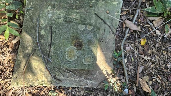 20250925柑子坑山動01-動04-市929-市582894942