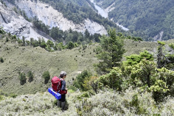 八通關上玉山1025128