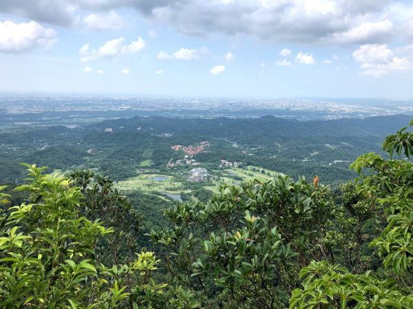 金面山 13分山 金山面山 O型390187