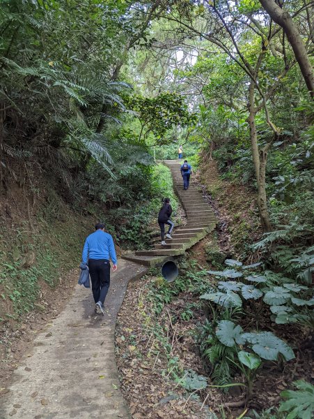 2022.03.05－大棟山縱走1636850