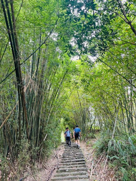 1140926坪頂古圳親山步道2895471