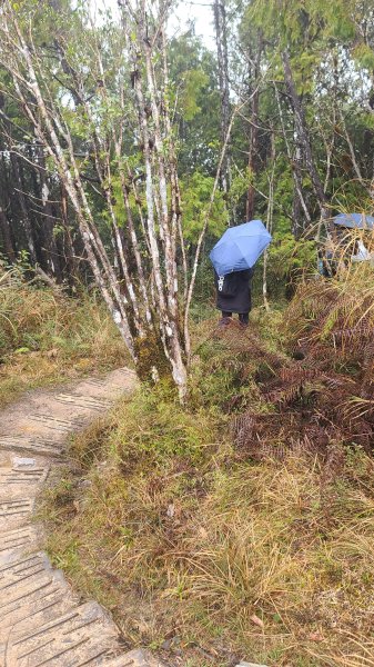 2025-0222 翠峰湖環山步道2718641