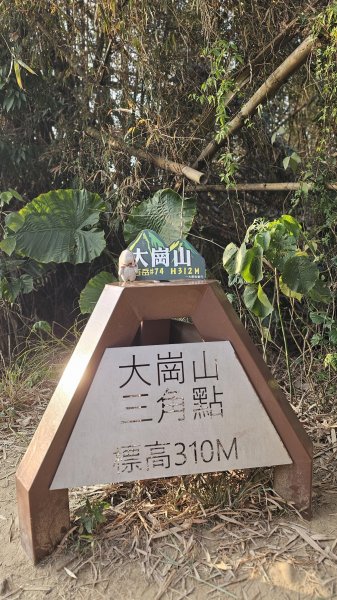 【即使簡單也要心存敬畏！】小百岳#074-大崗山、盤龍峽谷一線天O繞。3025827