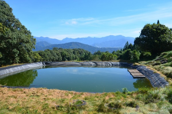 北東眼山239916