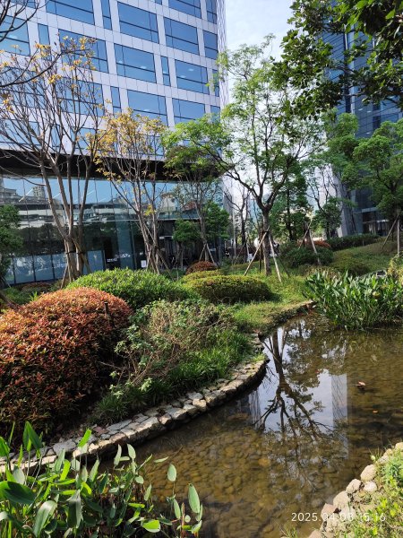 宏匯瑞光廣場、大港墘公園、至誠公園、師大公園封面