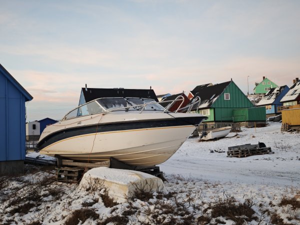 [紐約馬之行-32] 2025_1106 格陵蘭犬2947919