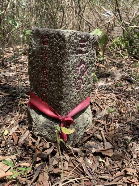 20250503屏東南和山2781471