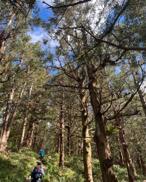 鳶嘴西稜上鳶嘴山-三崠山連走2652142