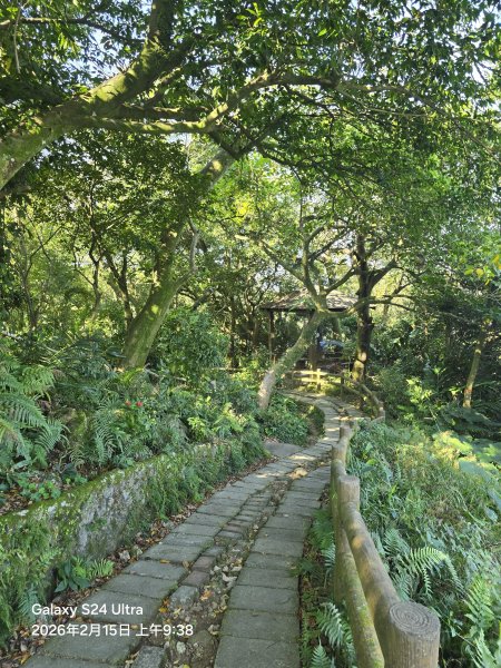2026-02-15微笑山線：【天上山系】烘爐地土地公段3003998