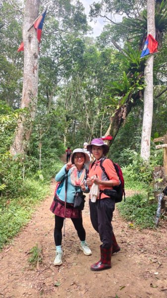 大艽芎古道縱走 新/溪州山(小百岳#23) 出溪州公園2893927