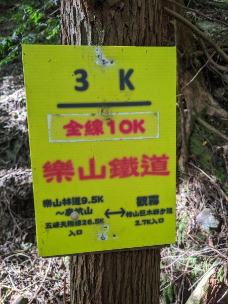 檜木神木群、樂山舊鐵道、新竹天際線尾段1494126