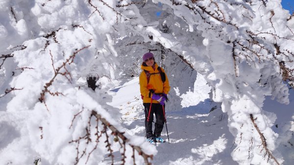 超綺麗夢幻的粉雪奇緣山行記在日本名古屋南沢山2781209