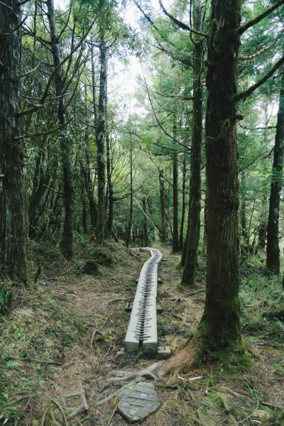 翠峰湖環山步道2251620