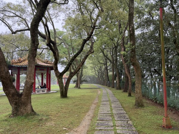 [樟之細路_第一大段RSA03] 2026_0329 石園3027040