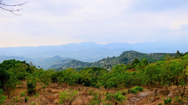 梅嶺竹子尖山2987489