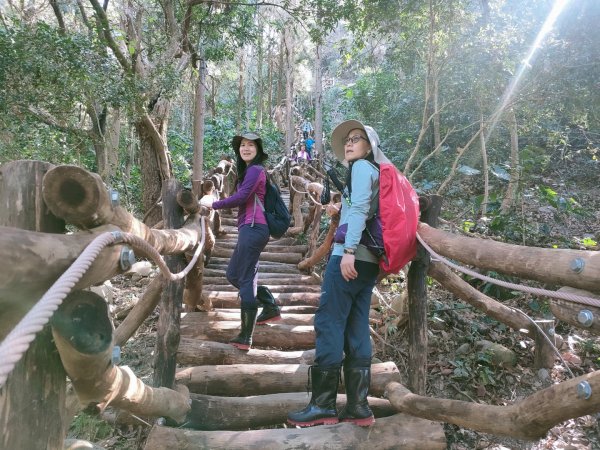 1110116 大坑四，五，三之一號步道O型一圈1584043