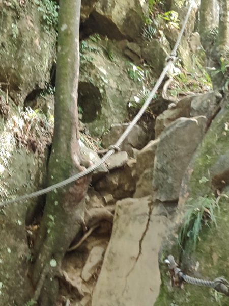 微笑山線：【二格山系】筆架連峰段2920969