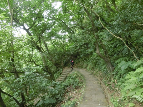 白鷺鷥山．康樂山．牛稠尾山96402