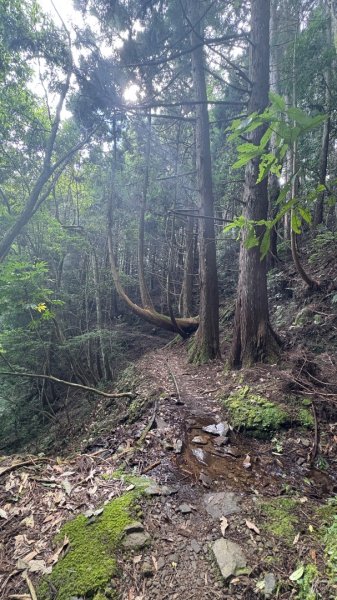 悠遊林鐵遺跡2878129
