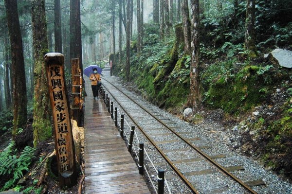 【中廣新聞網】來去趴趴走－太平山步道