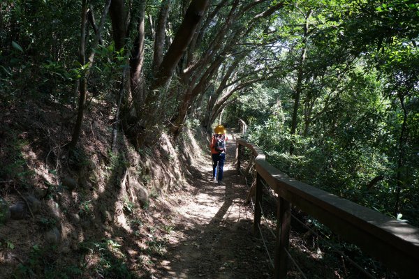 石光古道 + 面埔頂山