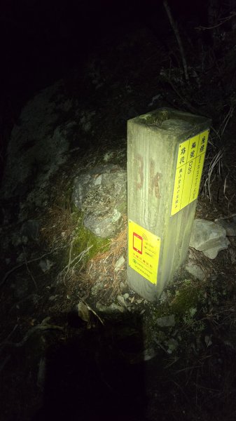 20250228 桃山+池有山2919206