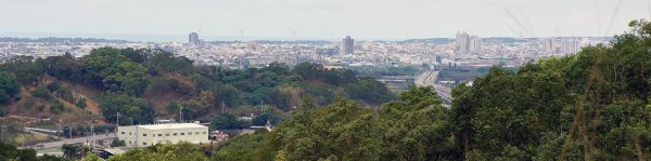 苗栗造橋口山古道595026