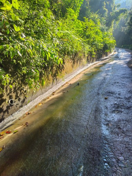 能高瀑布 慶安宮 頂猴洞山 猴頂洞山南峰 福興山2883709