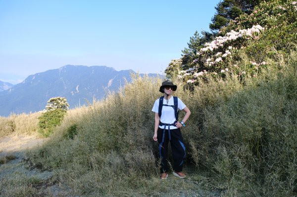 合歡山東峰3038982