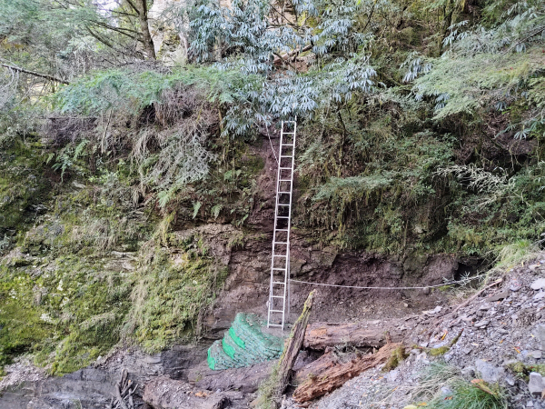 【路況】中央尖山、北二段、畢祿山等登山路線，5月1日起重新開放入園