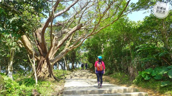 【台北士林】圓山水神社、劍潭山、老地方封面