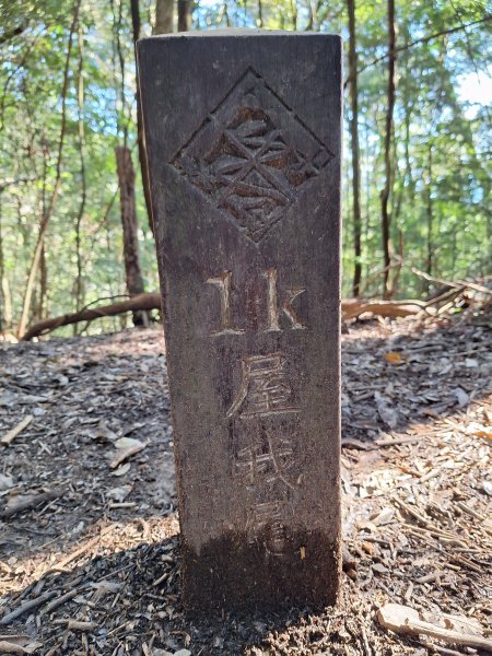 屋我尾山+G(大雪山進老鷹谷出)O型202502162713594