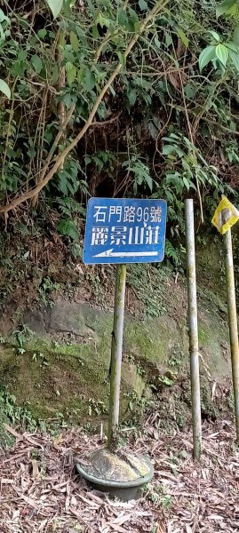 賞桐秘境(石門路-天上山)2135910