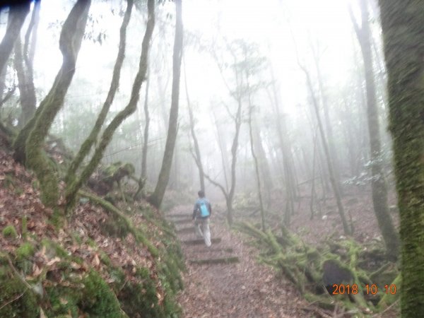 稍來小雪山步道451257