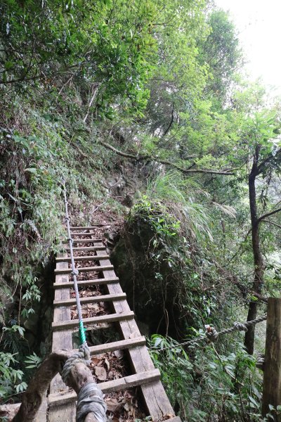 2017/12/02 上島山 (鳥嘴山)499863