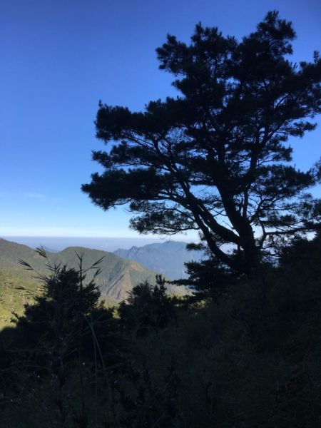 大霸群峰1/2-加利山、伊澤山384968