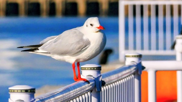 名古屋港邊的時空對白2982673