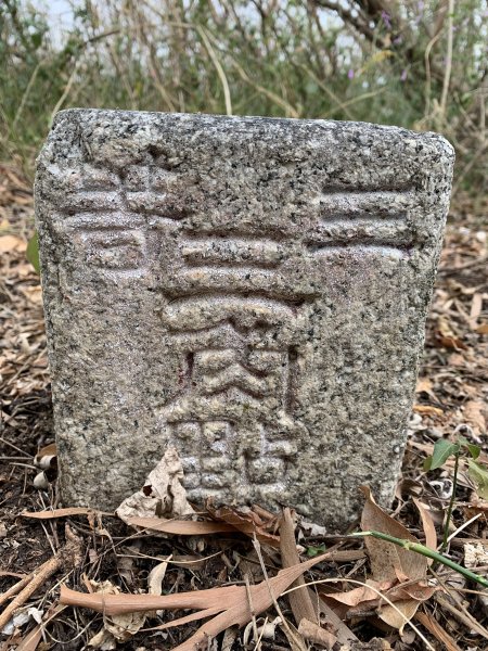 20250405屏東頂楓港山-上楓港山2757479