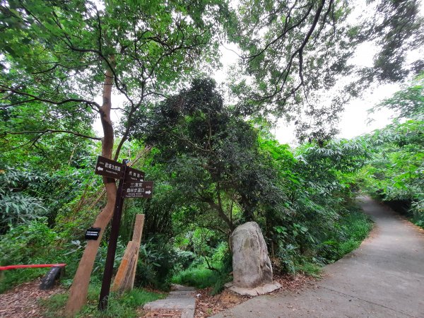 《彰化》桃源里森林步道、龍鳳谷森林步道1047494