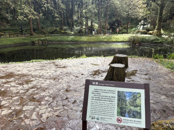 20251225塔山步道(大塔山)2970456